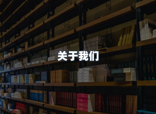 专业团队